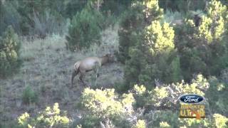 400 Inch Bull Elk Hunt at Royal Point Ranch [upl. by Lebana]