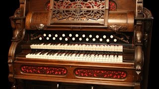 Toccata amp Fugue in D Minor  Bach  1910 Dominion Orchestral Reed Organ [upl. by Auqinahc]