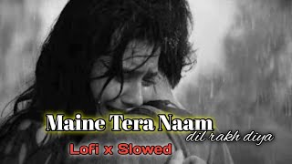 Maine Tera Naam Dil rakh diya SongLofiSlowed dil shreyas version [upl. by Vod]