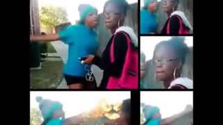 Sharkeisha Song noooooo she wasnt ready [upl. by Gnilhsa]