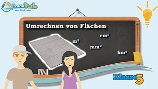 Flächen umrechnen  Quadratmeter  Quadratzentimeter  Klasse 5 ★ Wissen [upl. by Noonberg]