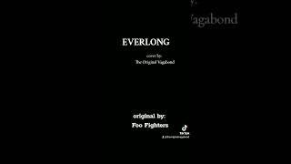 Everlong acoustic cover by The Original Vagabond [upl. by Aikar]