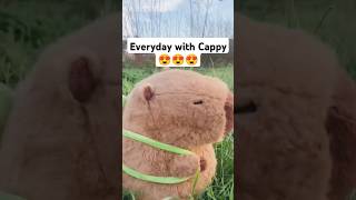 Everyday with Cappy 🥰 linkinbio [upl. by Canfield]