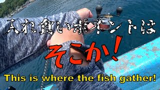 【ダンゴ釣り】2メートルの距離で天国と地獄！その理由は魚にも歓楽街があった？！（笑） [upl. by Nivrag]