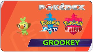 How to Catch Grookey  001 Pokemon Sword amp Shield  Galar Pokedex [upl. by Miett979]