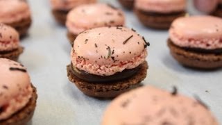 100 Macarons  750g de Gourmandises [upl. by Netneuq]