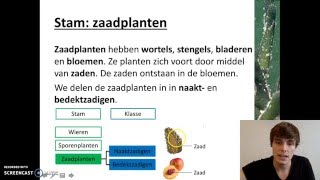 Ordening  Het rijk van de planten [upl. by Balkin]