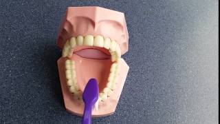 Tooth brushing demonstration film [upl. by Gem]