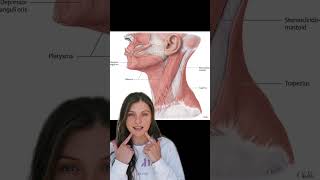 What is Nefertiti neck lift using Botox botox neurotoxin plstk aesthetic skincare [upl. by Fedora]