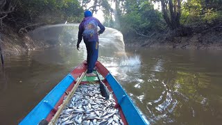 KEMBALI MENJALA KAWANAN IKAN YANG SEDANG TURUN [upl. by Rickert]