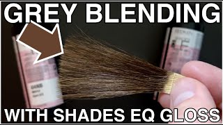 Ep 4  Blending GREY HAIR with Shades EQ Gloss FULL of HUGE tips [upl. by Alex95]