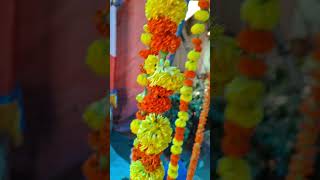 Part1 ভোগারতী short shorts bhogaroti nandamahatshab janmastami 28082024 [upl. by Remot]