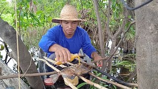 Assando PIRANHA PRETA em CIMA do CAPIM em Árvore no AMAZONAS [upl. by Mikiso]