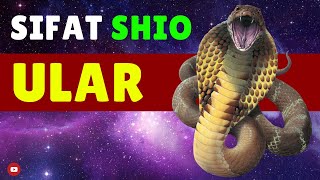 Kamu 🐍 SHIO ULAR Simak WATAK amp SIFAT Shio Ular di Video ini [upl. by Ynotna]