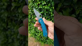 spyderco para3 edcknife edc everydaycarry blade knives knife shorts Custom [upl. by Ahsercal]