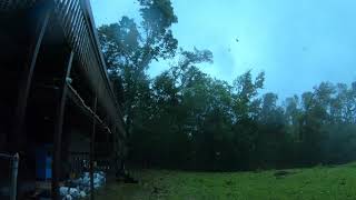 Unbelievable Hurricane Michael  Eerie Sounds of Falling Trees [upl. by Ragg]