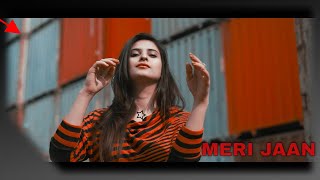 Official Music Video Meri Jaan  Latest Panjabi Pakistani Song [upl. by Apfelstadt259]