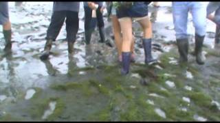 Wadlopen met kazou op ameland [upl. by Dazraf]