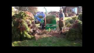 GreenMech Arborist 130  Chipper verses Cryptomeria [upl. by Montagna]