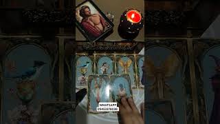 ACİL HABERLER 😱😱 kesfet fyp keşfet fenixtarot viral trend tarotfalı tarot tarotenerjiyorumu [upl. by Aiym]