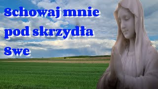 Schowaj mnie pod skrzydła SweKocham Polskę Tu mi dobrze [upl. by Adiell30]