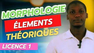 Analyses en Morphèmes Éléments Théoriques [upl. by Eseekram]