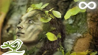 Dance of Life Relaxing Celtic Music for Meditation amp Sleep by Peder B Helland [upl. by Ydnyc59]