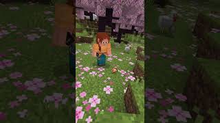 Minecraft chicken revenge ❤️‍🔥💀 [upl. by Nirb873]