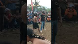 seni tiban trenggalek shortviralvideo [upl. by Tamara]