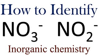 NO3 and NO2 Identification Inorganic chemistry test inorganic chemistry [upl. by Aritak650]