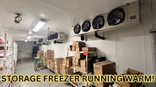 STORAGE FREEZER 20 DOORS FROZEN FOOD RUNNING WARM FOUND COMMON AND WEIRD THINGS [upl. by Auliffe]