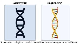 Genotyping by Sequencing [upl. by Aiksa8]