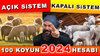 100 KOYUN ALINIR MI  2024 Koyunculuk [upl. by Nikral742]