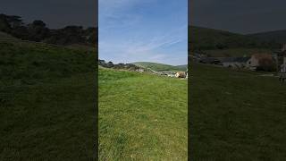 Lulworth Cove Dorset UK Dorset England UK [upl. by Esiole515]