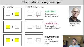 Introduction to Cognitive Neuroscience Session 43 Introduction to visual attention [upl. by Neved]