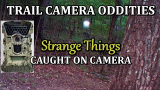 Trail Camera Oddities of Strange Things Caught on Camera [upl. by Alyahs458]