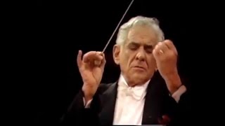 Gustav Mahler  Adagietto  Leonard Bernstein 4K [upl. by Kristin690]