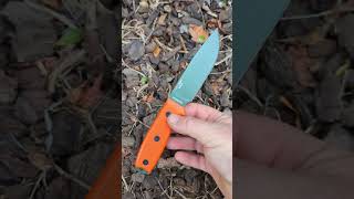 ESEE 4 orange scales out the back with the currawongs eseeknives edc bushcraft outdoors [upl. by Ibbetson478]