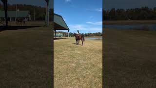 Margots Pony Club Just a Girl amp Her Horse 102024 😊🐎 [upl. by Waterer]