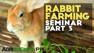 Rabbit housing  Rabbit farming seminar part 3 Agribusiness [upl. by Drawets]