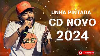 UNHA PINTADA 2024 REPERTÓRIO NOVO  MÚSICAS NOVAS  CD NOVO  CASAMENTO ATUALIZADO UNHA PINTADA [upl. by Idnas569]