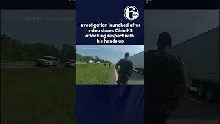 Investigation launched after video shows Ohio police dog attacking suspect with his hands up [upl. by Costa]