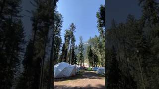 Camping with a view camping sitecampingareatravel peaceful youtubeshorts [upl. by Neelon524]