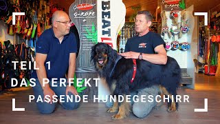 Das perfekt passende Hundegeschirr  Teil 1 [upl. by Orenid996]