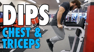 DIPS  Chest amp Triceps  HowTo Exercise Tutorial [upl. by Sukram]