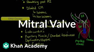 Mitral valve regurgitation and mitral valve prolapse  NCLEXRN  Khan Academy [upl. by Eugenides850]