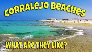 Corralejo Beaches  Best Beaches in Fuerteventura  Corralejo Dunes Beach [upl. by Orestes]