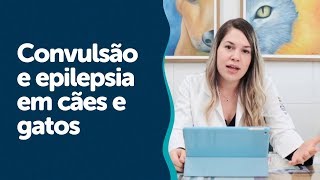 Convulsão e epilepsia em cães e gatos  Neurologia Veterinária  Iconvet [upl. by Nadler]