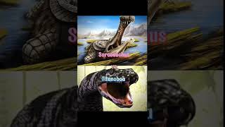 Sarcosuchus vs Titanoboa hewan deathbattle shorts animals [upl. by Sherburne]