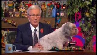 Paul OGrady  Buster retires and says goodbye his last ever day 11th November 2009 [upl. by Ettenwad]